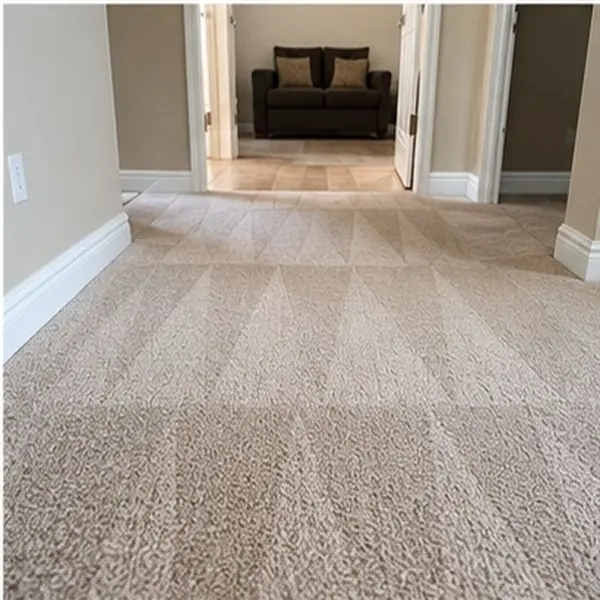 Carpet cleaning results in Newport VIC